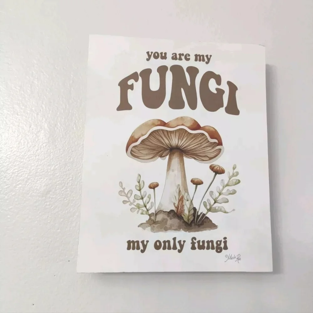 Stupell Industries Phase 2 YOU Are My Fungi Wall Art Design By Marla Rae Size...